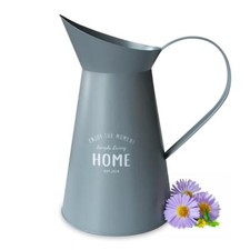 Arrosoir Gris En Métal