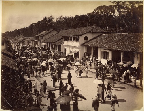 Photo scowen albuminé colombo - photo,