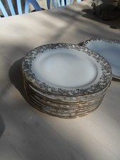 9 ASSIETTES DESSERT + PLAT PORCELAINE LIMOGES