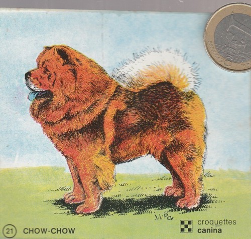C44ani animaux chien - animaux.,