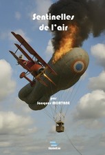 Sentinelles de l'air - (