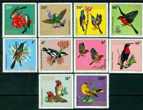 Rwanda**OISEAUX&FLEURS/BIRDS-1