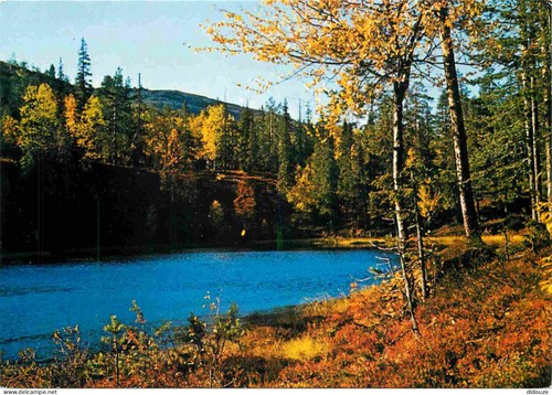 Carte postale finlande - carte,