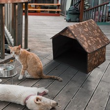 Niche d'extérieur pour chat