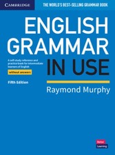 English Grammar in Use Book