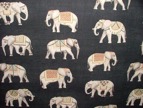 Jaipur indien éléphant noir - indien,