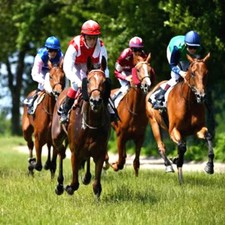 METHODE de TURF: R.Maes DANS