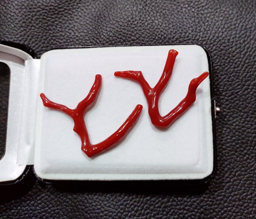Branche corail rouge - de,