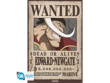 Poster - One Piece - Wanted