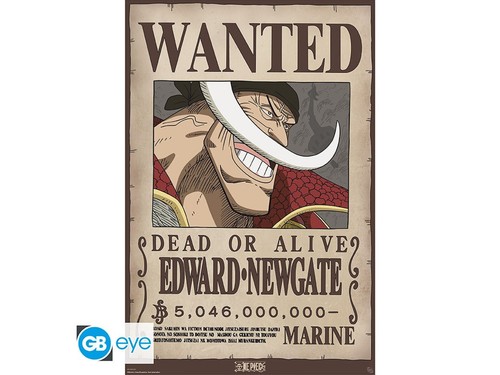 Poster one piece wanted - one,