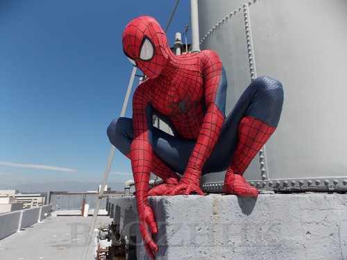The amazing spiderman tasm - tasm, 2