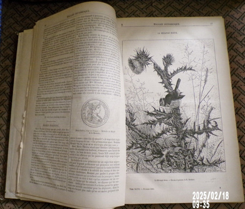 Livre ancien magasin - le,