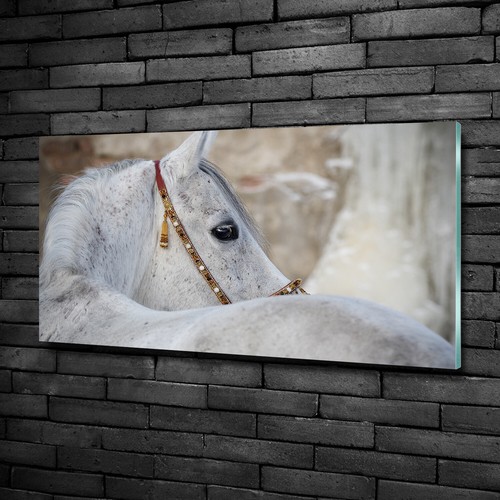 Tulup tableau sur - tableau, verre