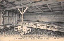 CPA 78 MAREIL SUR MAULDRE ELEVAGE INTERIEUR D'UN POULAILLER DE PONTE GUYOT