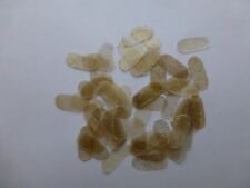 50 X Pont Parchemin /