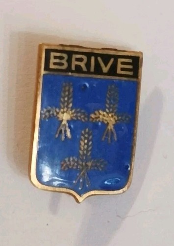 écussons broche ancienne - écussons,