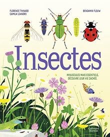Insectes minuscules mais - insectes:,