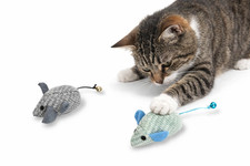 Jeu Chat Chien Mignon Peluche