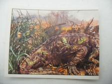 Stikers album PANINI 1992 immage Animaux Prehistorique Prehistoric Vignette n°57