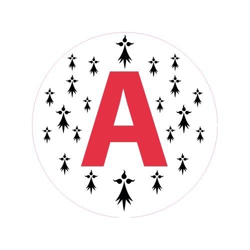 Jeune conducteur apprenti - jeune,