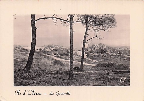 Ile oleron la - 17,