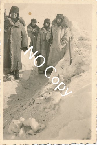 Photo wk2 wehrmacht combat - wk2,
