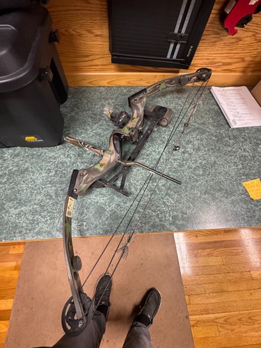 Hoyt compound bow