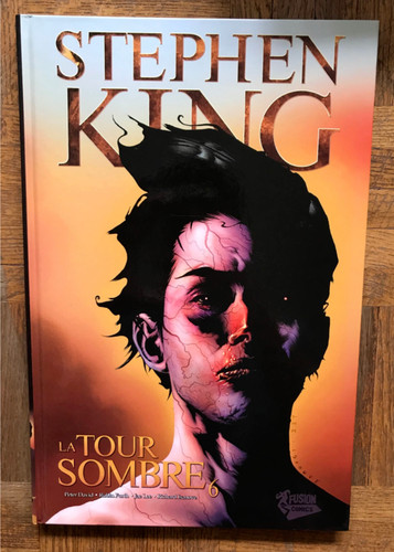 Tour sombre tome 6 - tour,