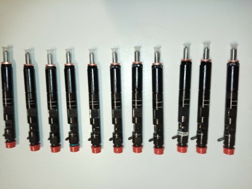 Injecteur 5dci delphi remis - injecteur,
