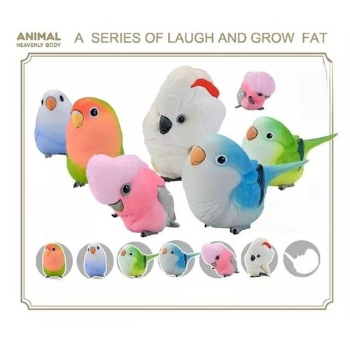 Animal planet laugh - planet, and