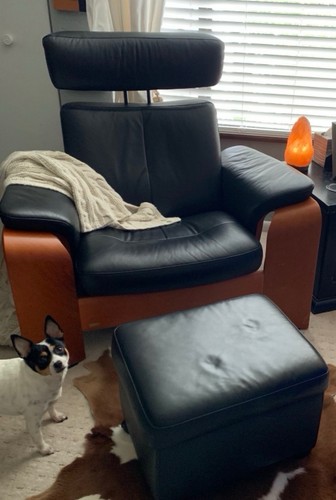 Stressless black brown - stressless, padded
