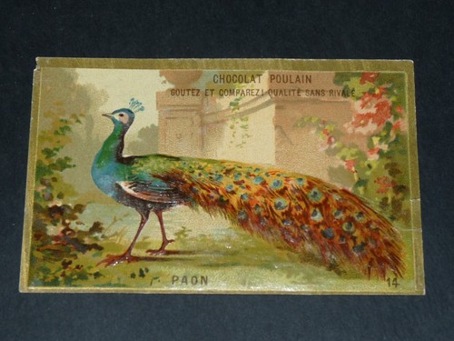 Chromo 1885 1910 chocolat - chromo, 1885-1910