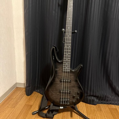 Guitare basse électrique