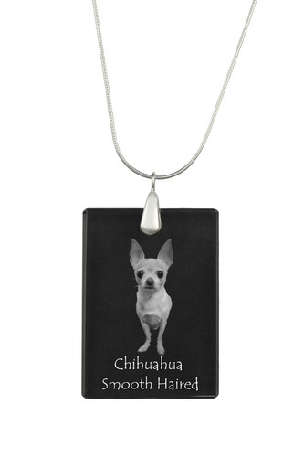 Chihuahua poil long collier - long,