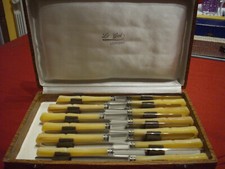 coffret de 12 couteaux à