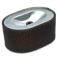 Filtre pour Agria 3400 KL D, 3400D, 3900 Bison motoculteur