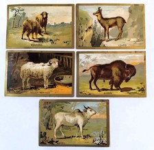 PETITS CHROMOS ANCIENS 5