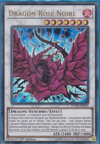 Dragon rose noire - dragon,