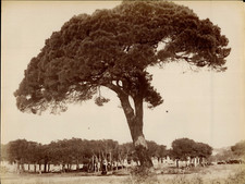 Neurdein, Côte-d'Azur