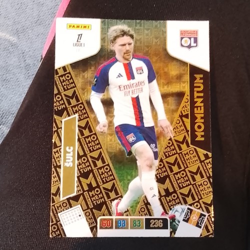 Panini adrenalyn ligue 1 - adrenalyn, xl