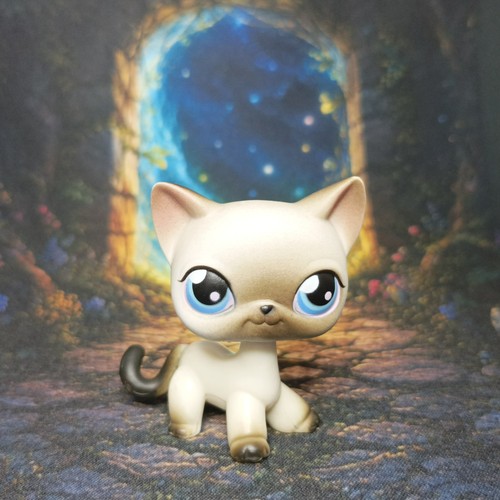 Chat siamois bis littlest - siamois,