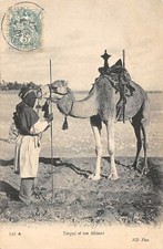 CPA ALGERIE TARGUI ET SON MEHARI