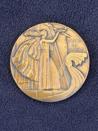 Médaille france conseil - médaille,