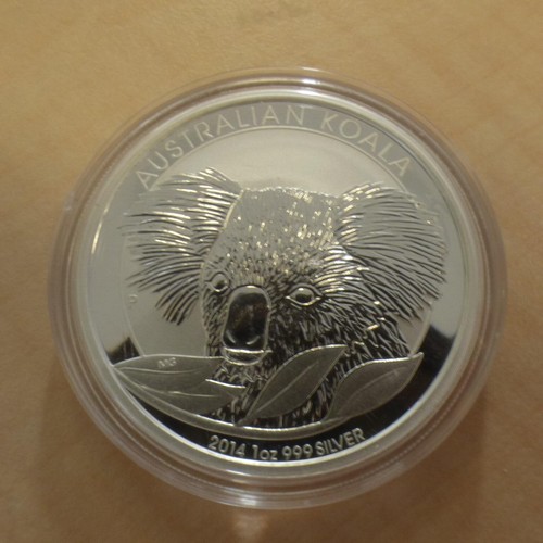 Australia koala 2014 - koala,