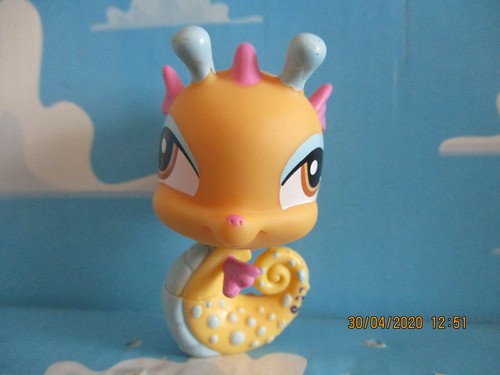 Petshop hippocampe 1485 - petshop,