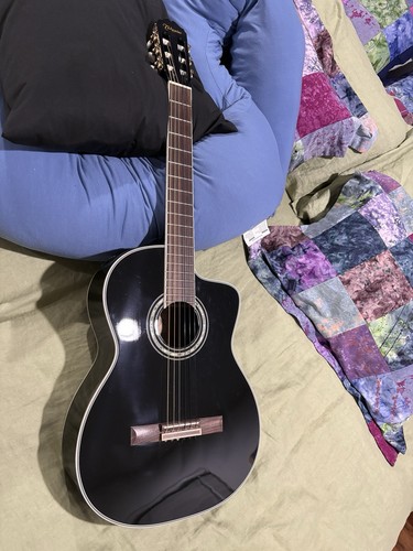 Takamine tg132sc string - takamine, 6
