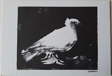 PICASSO - CARTE POSTALE - LA COLOMBE  - 1949 - Congrès la paix de 1974 -