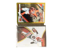 AJ Green, Cincinnati Bengals