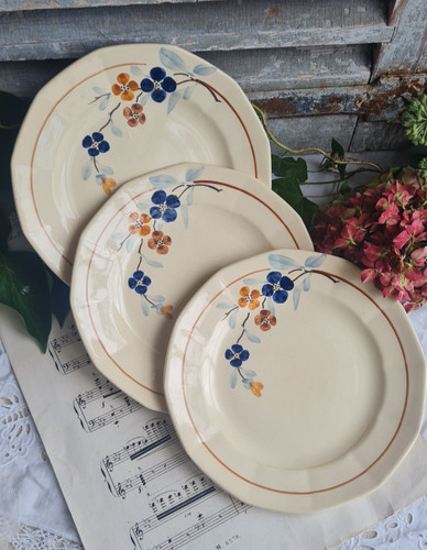 Anciennes assiettes plates - 3,