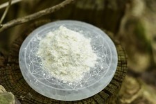 Uvuma Omhlope (Synaptolepis